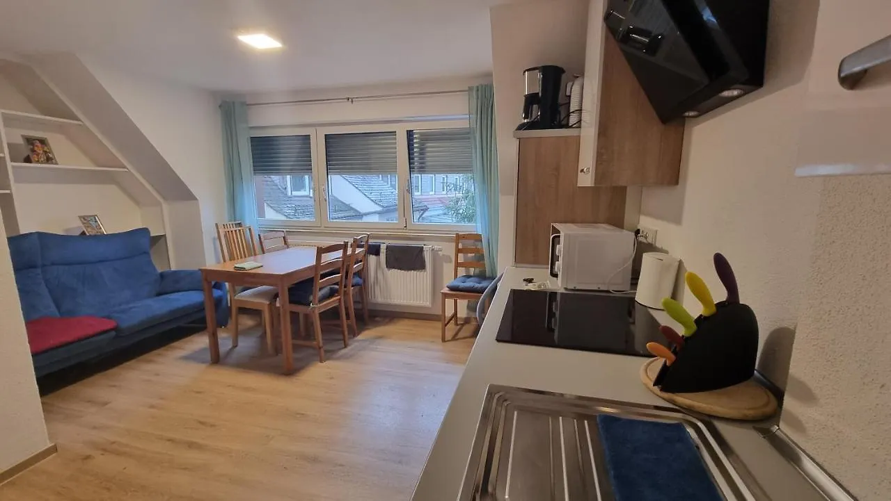 Wohnung Mit Festung Blick In Wuerzburg Apartment